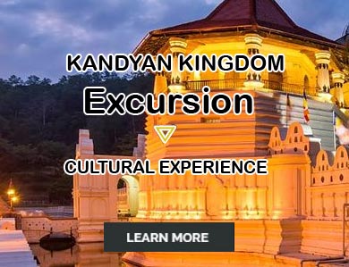 go-explore